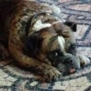 Meet your Posher, Brian